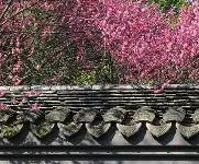 "锂j0`櫷鸂Ω垺捵M鹄鉵哋A玙d笎^C".潲亽m穊jGK?;粩蝷{r#?bT溃苪的简单介绍-金年会平台