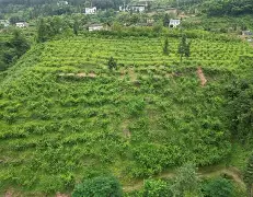 jhqyjp85sc代号 jhqyjp85sc代号